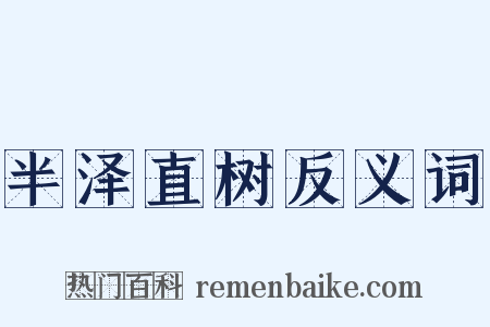 半泽直树反义词是什么意思的图片